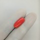 Coral (Moonga) 4.53 Ct Certified Coral (Moonga) 4.53 Ct Certified